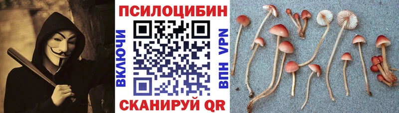 Галлюциногенные грибы Psilocybe  Емва 
